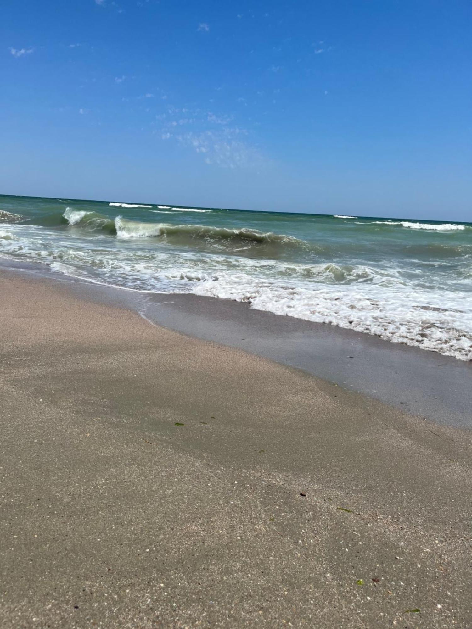 Apartmán Fratellyvibe Mamaia Exteriér fotografie